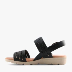 HADDIE BLACK -Women Shoe Store I1717 3jpg