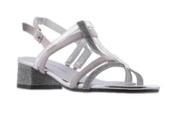 KARINA SILVER -Women Shoe Store J1351.SIL 3