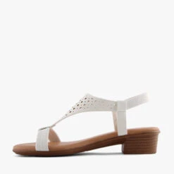 RIVAL WHITE -Women Shoe Store J1439 3