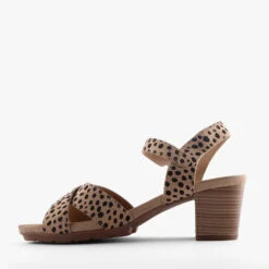 HANNIE CHEETAH -Women Shoe Store M1100 3jpg