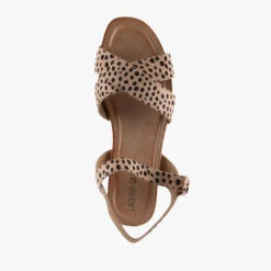 HANNIE CHEETAH -Women Shoe Store M1100 4jpg