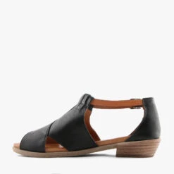 FIGS BLACK/TAN -Women Shoe Store Q2187 3