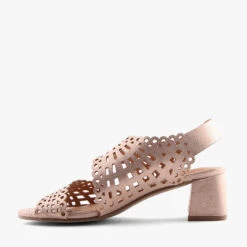 JOAN CHAMPAGNE -Women Shoe Store S1698 3jpg