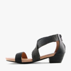 SUS BLACK -Women Shoe Store S1707 3