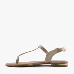 STARA GOLD GLITTER -Women Shoe Store l3929 3